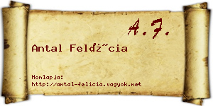 Antal Felícia névjegykártya